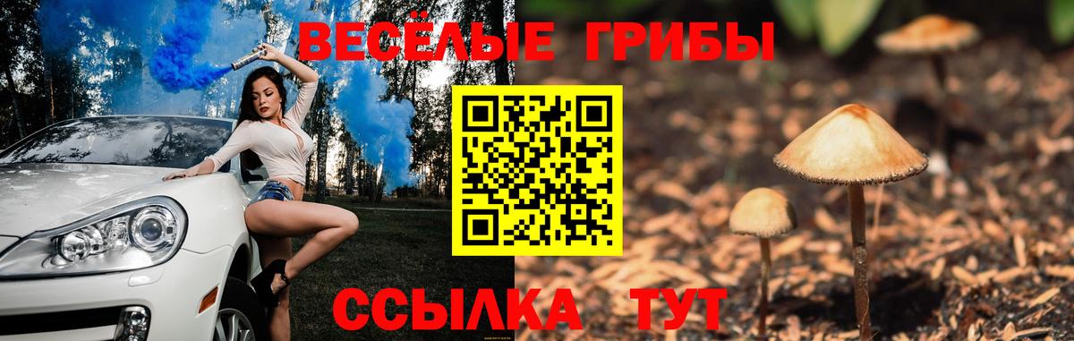 Галлюциногенные грибы Cubensis Бердск